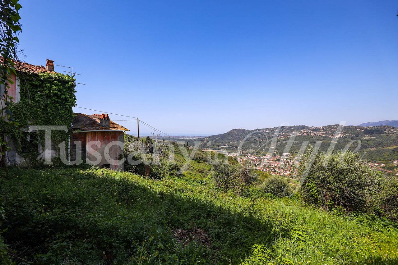  Massarosa-Farmhouse with sea views and olive groves to renovate-4