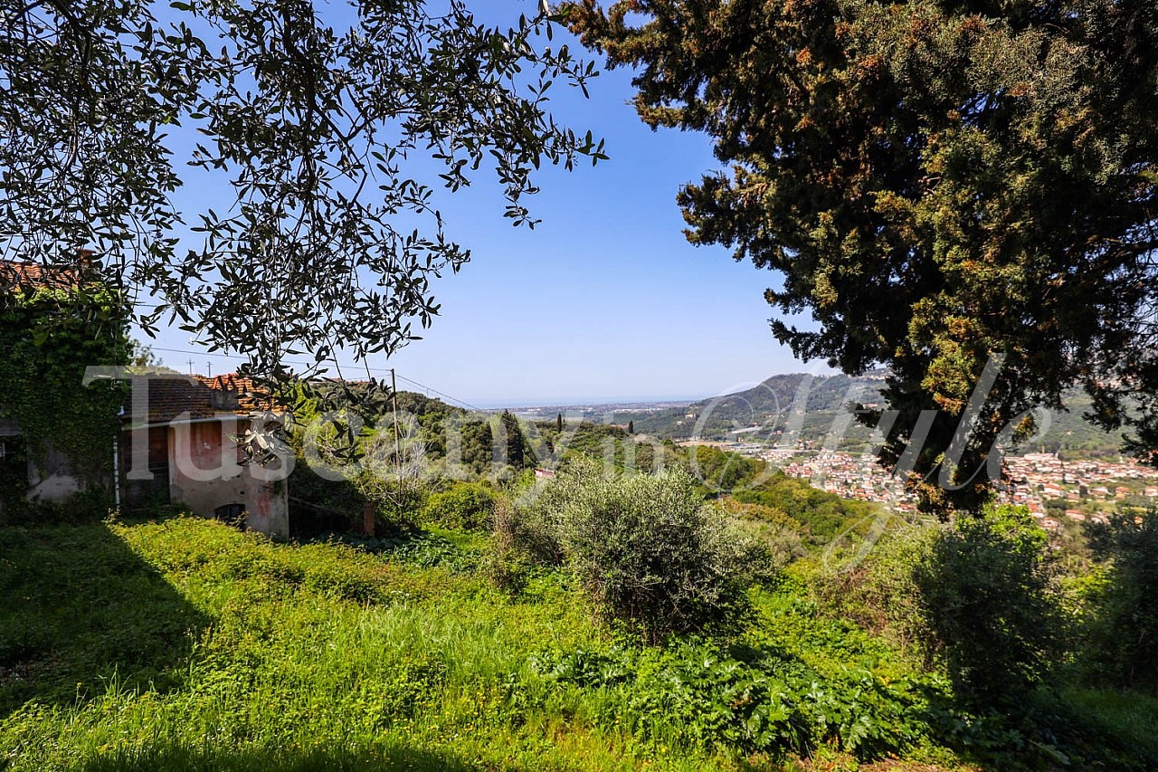  Massarosa-Farmhouse with sea views and olive groves to renovate-6