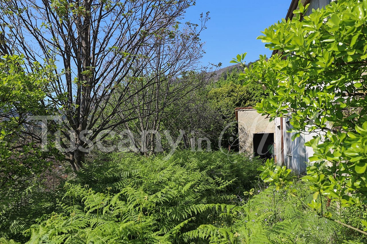  Massarosa-Farmhouse with sea views and olive groves to renovate-7