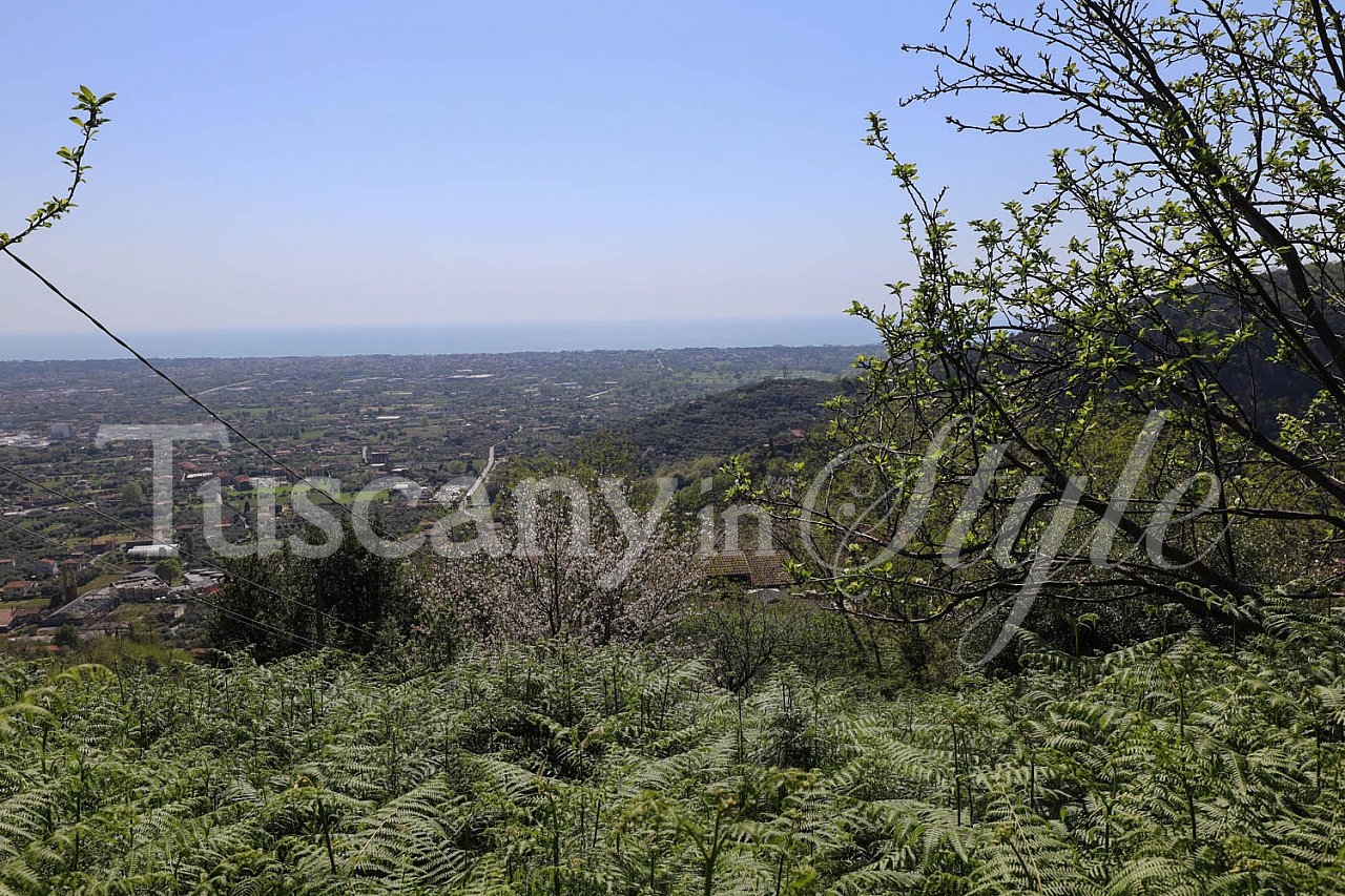  Massarosa-Farmhouse with sea views and olive groves to renovate-8